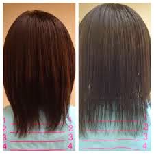 One Month Castor Oil Challenge Let S Grow Our Hair