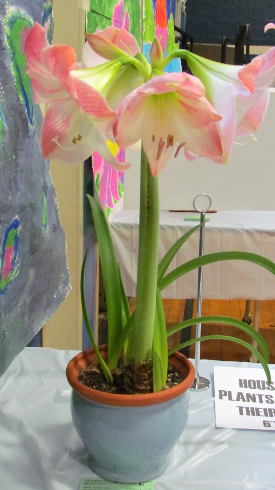 Nyack Backyard Garden Club of Nyack Centennial Flower Show