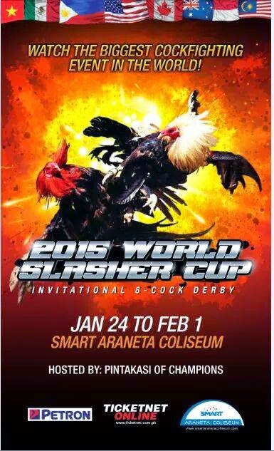 Pigeon (2015) Watch Online