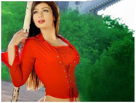 Bollywood Ayesha Takia Sexy Photo Shoot (HD) 2016 | Porno ...