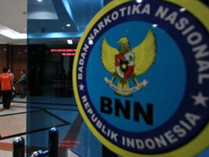 BNN