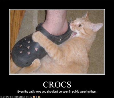 crocs cat shoes