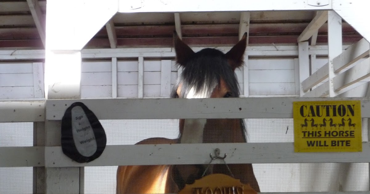 There is a Horse In My Bubblebath Touring the Kittitas County Fair There is a Horse In My Bubblebath Touring the Kittitas County Fair
