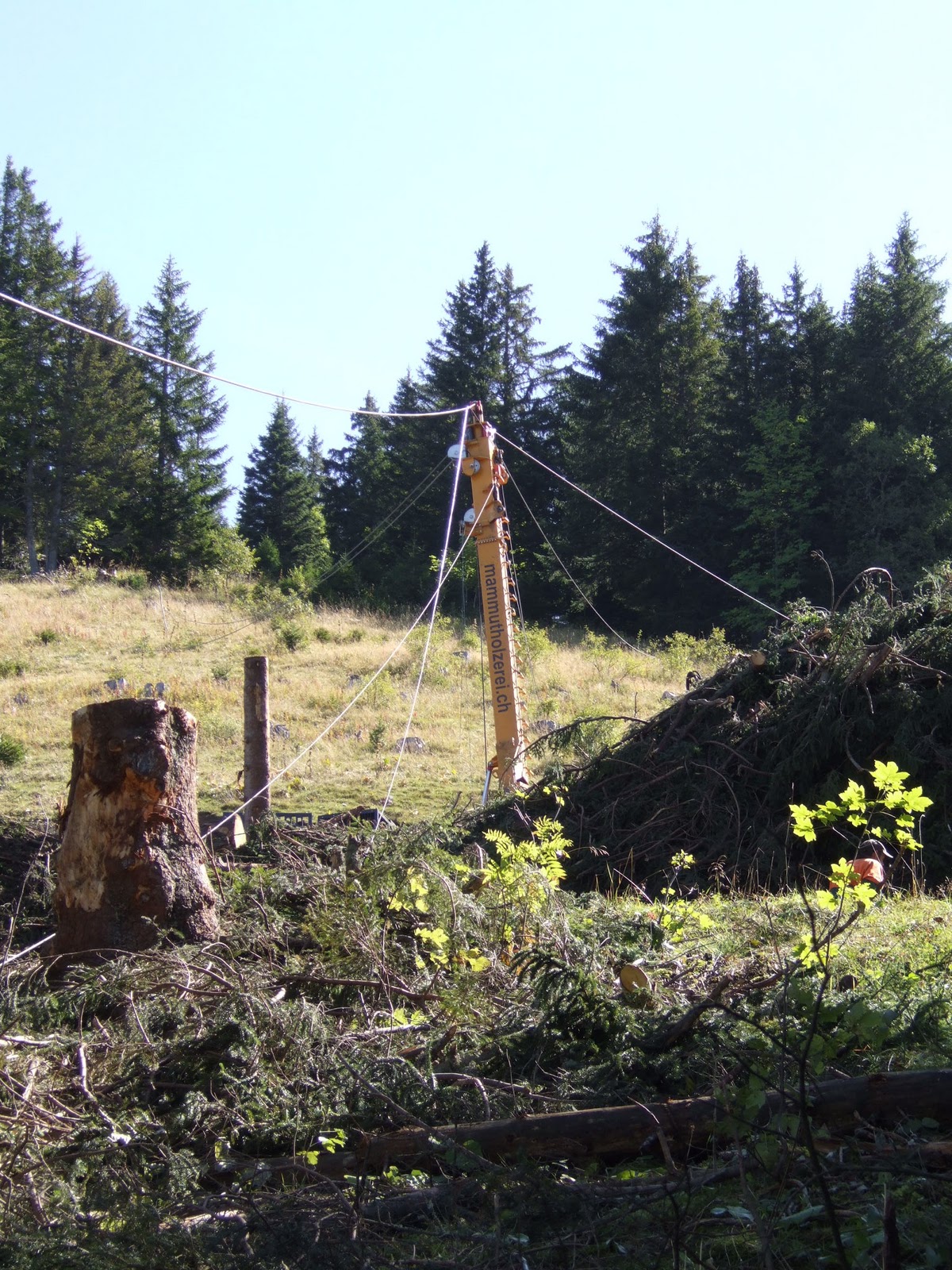 AMOMA de HauteSavoie Le câblemât un moyen de débardage de bois qui