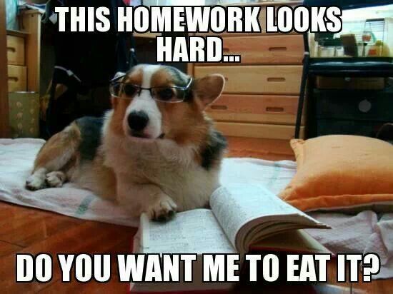 Homework!