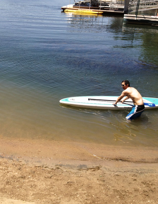 paddle board in the water