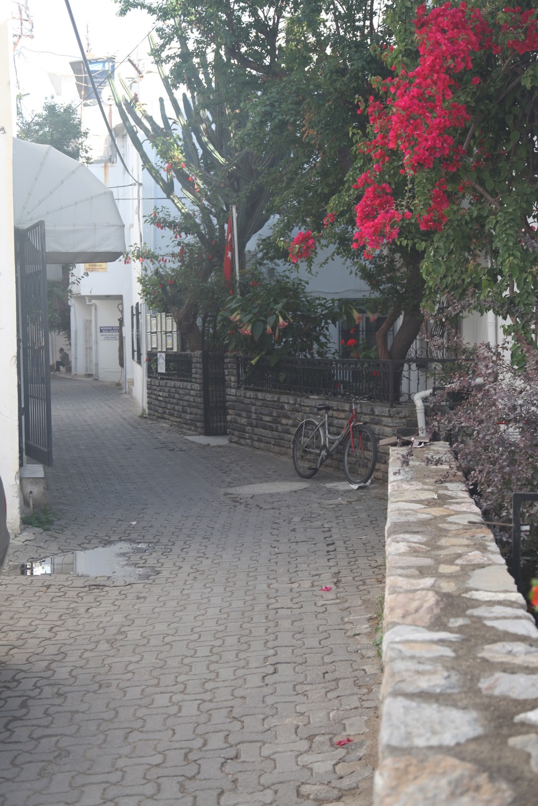 Le Reve Report Bodrum