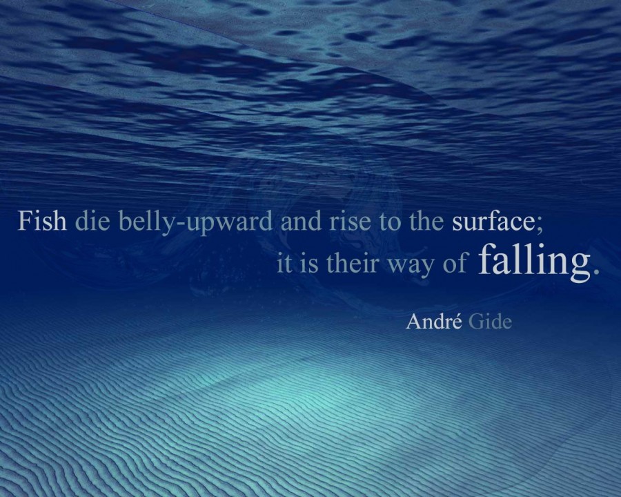 30 Best Quote Wallpapers..... ~ Happy Quotes-Inspirational Quotes ...