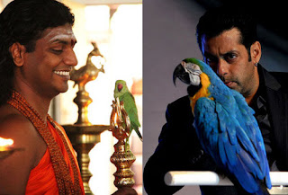 nithyanantha in bigg boss salmankhan.bigbozz,tamil