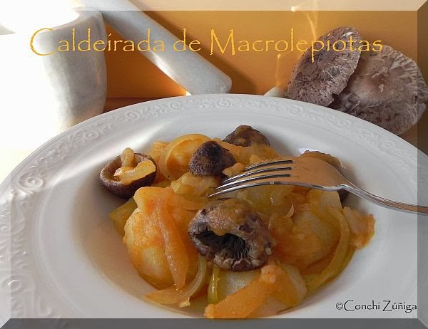 Caldeirada De Macrolepiotas
