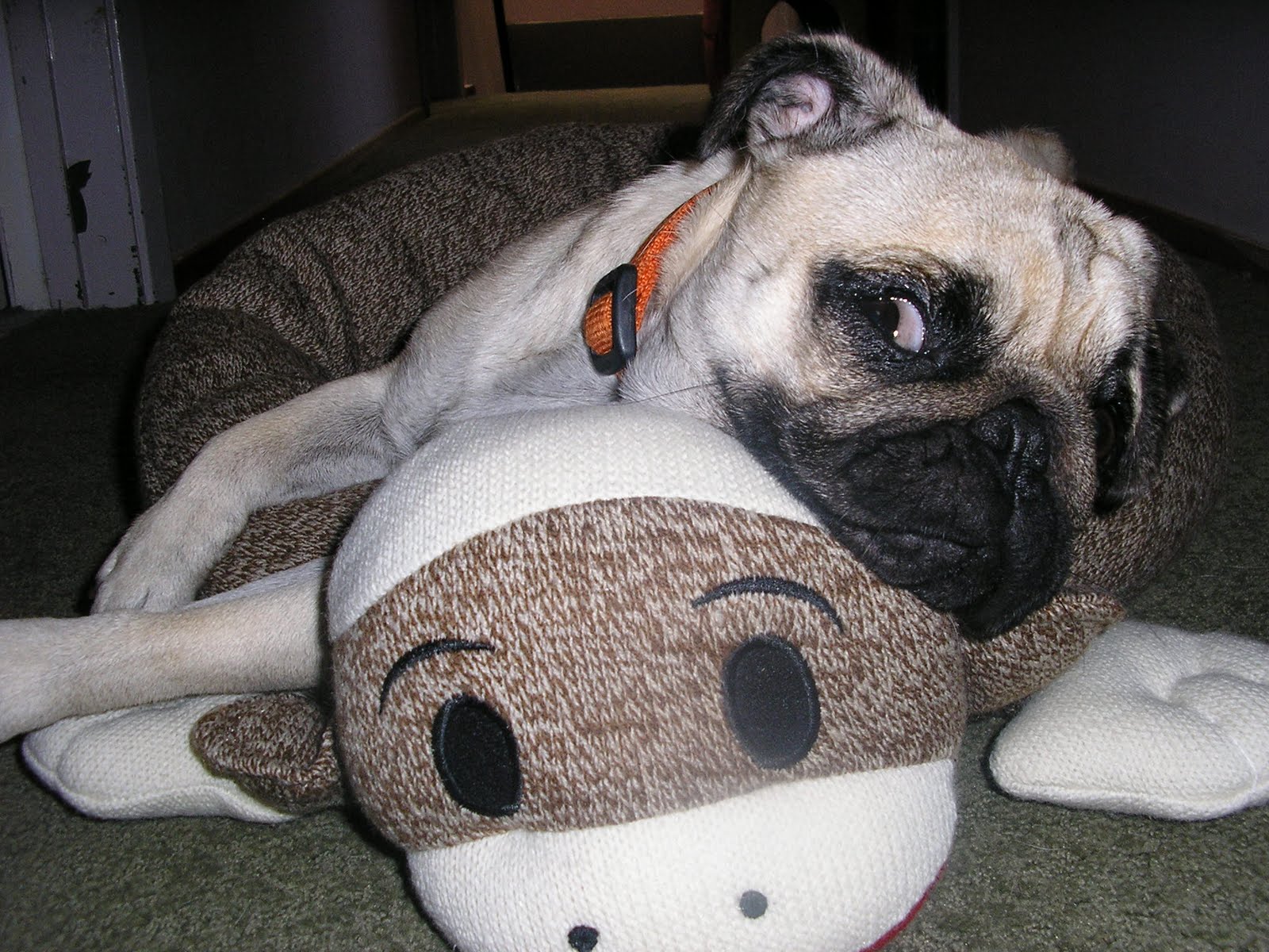 A Bowl of Noodles© May 2011