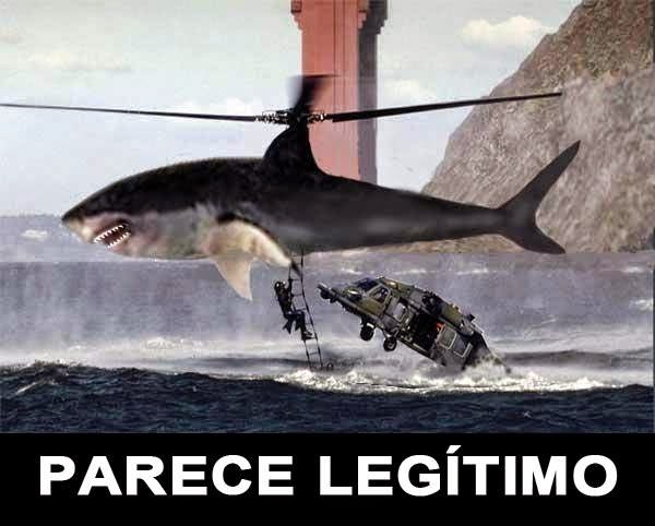 Resultado de imagem para memes tubarão