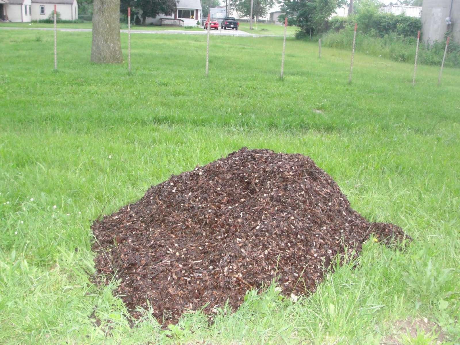 Ever-Green Gardening Ministries: Northwold Garden - Wood Chip