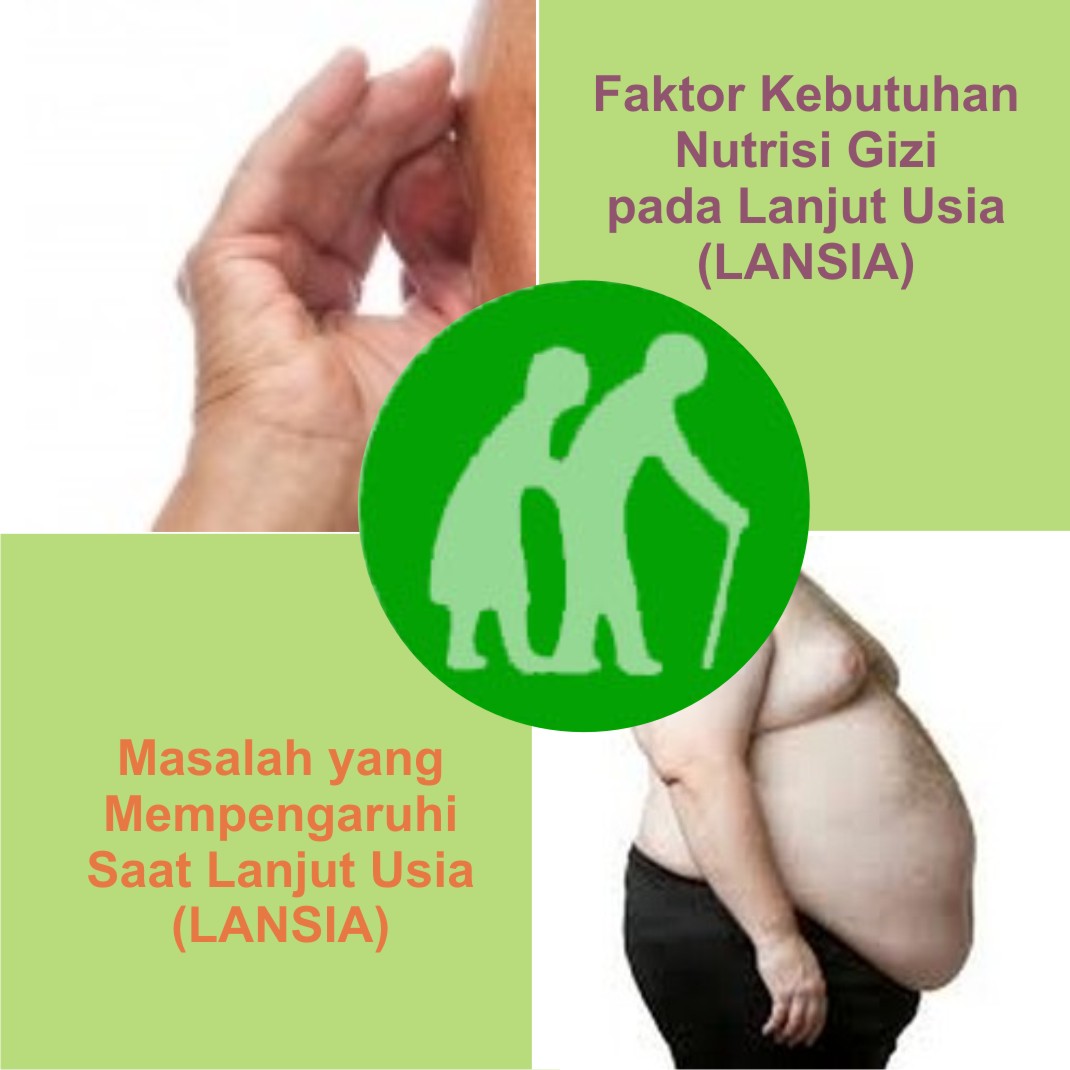 Faktor Kebutuhan Nutrisi Gizi pada Lanjut Usia (LANSIA) Nutrisi Gizi
