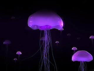 Vista_wallpaper_-_Jellyfish.jpg