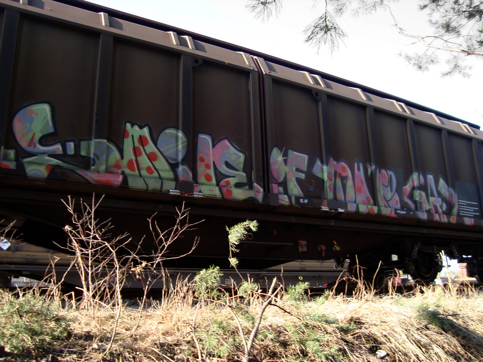 Confessions Of A Train Geek Effing Graffiti