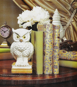 White Owl of Book Wisdom