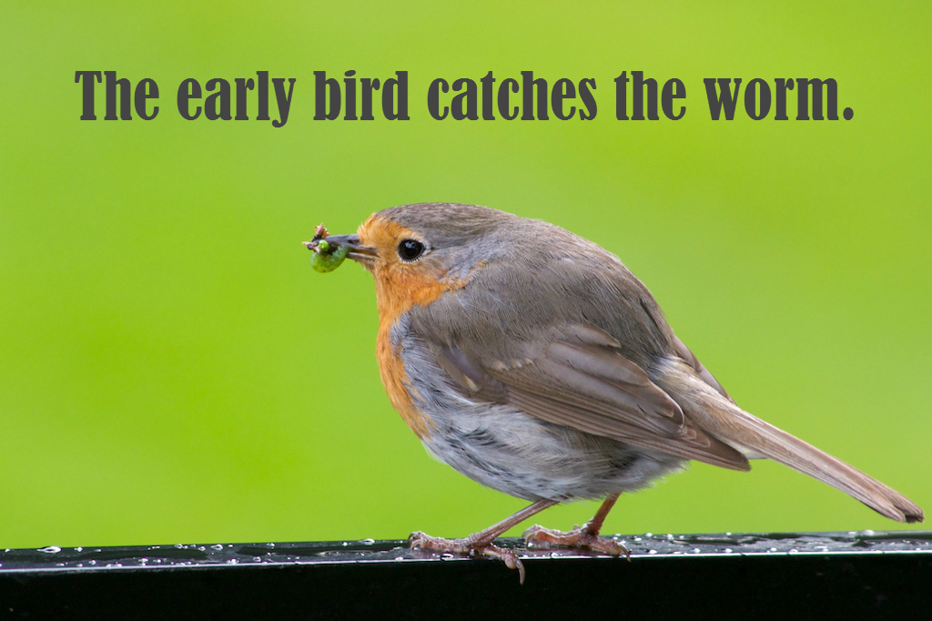the early bird catches the worm School start times are becoming a hotly debated topic across the united states starting middle and high schools at 8:30 am would improve teen health. the early bird catches the worm School start times are becoming a hotly debated topic across the united states starting middle and high schools at 8:30 am would improve teen health.
