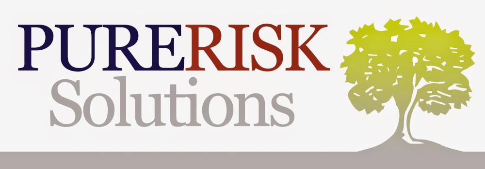 Pure Risk Solutions