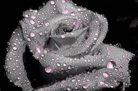 Frasi Matrimonio Frasi Condoglianze