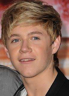 foto Niall James Horan