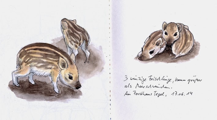 Http Www Barnimer Buergerpost De Downloads Bbp1605 Pdf