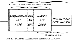 hardluck asthma history of spirometry the pulmonary lung capacity test chart