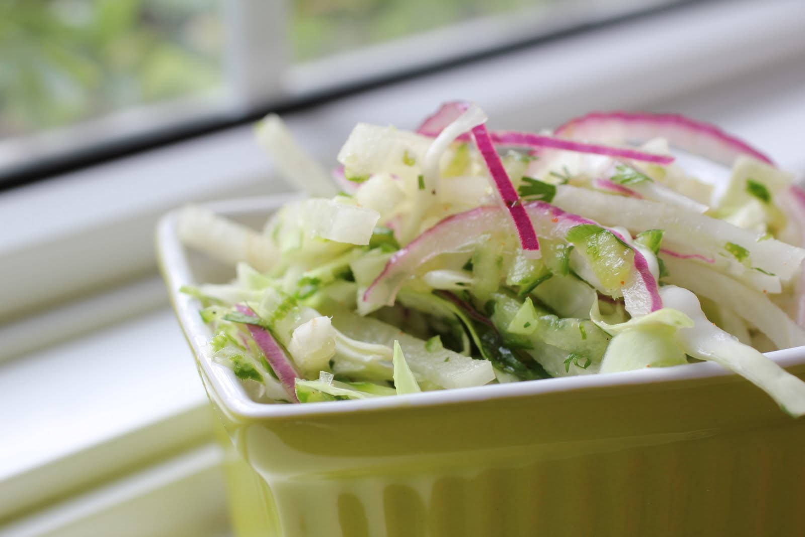 Jicama, Cabbage and Cucumber Slaw Healthy Girls Kitchen Printable Recipes