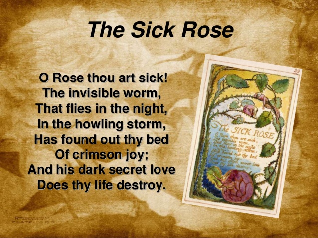 the sick rose interpretation