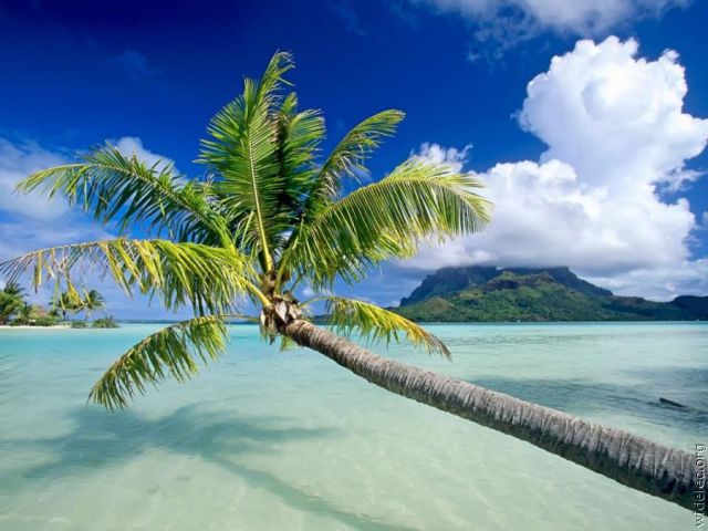 جزيرة الفردوس أكثر لالتقاط الأنفاس World%2527s+Most+Breathtaking+Island+Paradise+%252818%2529
