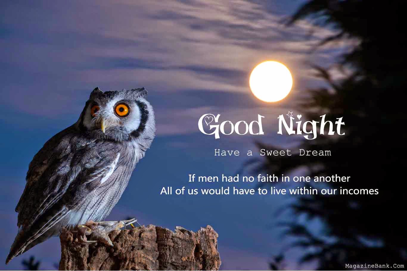 Night Owl Quotes. QuotesGram