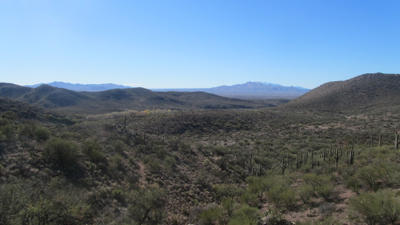 House of Light January 2013