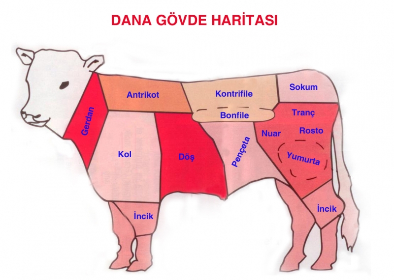 Sevinç�in Lezzet Defteri Zencefilli Soğan Yahnisi