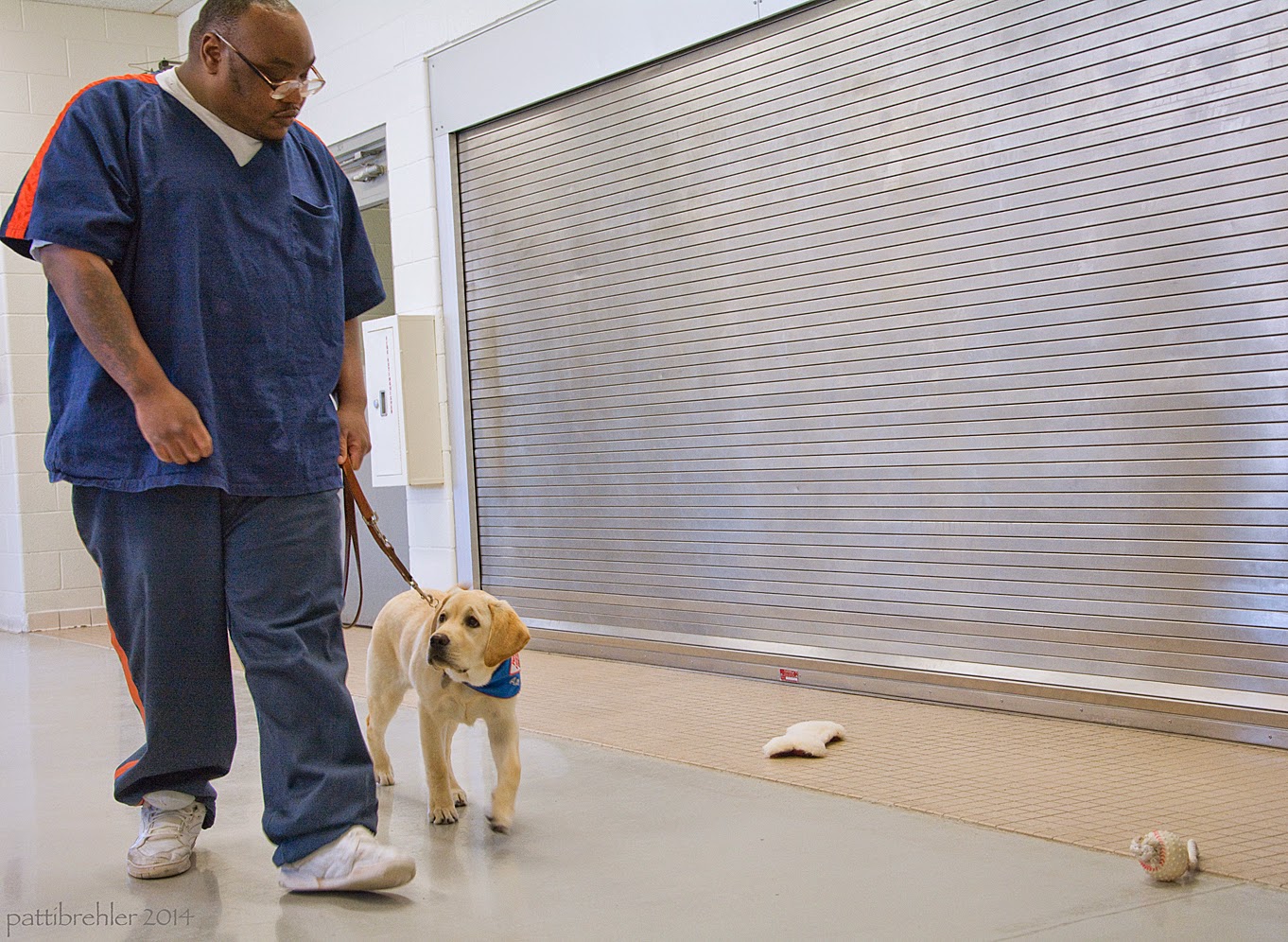 A large african american man is walking toward the camera with a young yellow lab at his left side. The man has the leash in his left hand and the leash is loose. The puppy has his head turned away from the toys ont he floor on the right side.