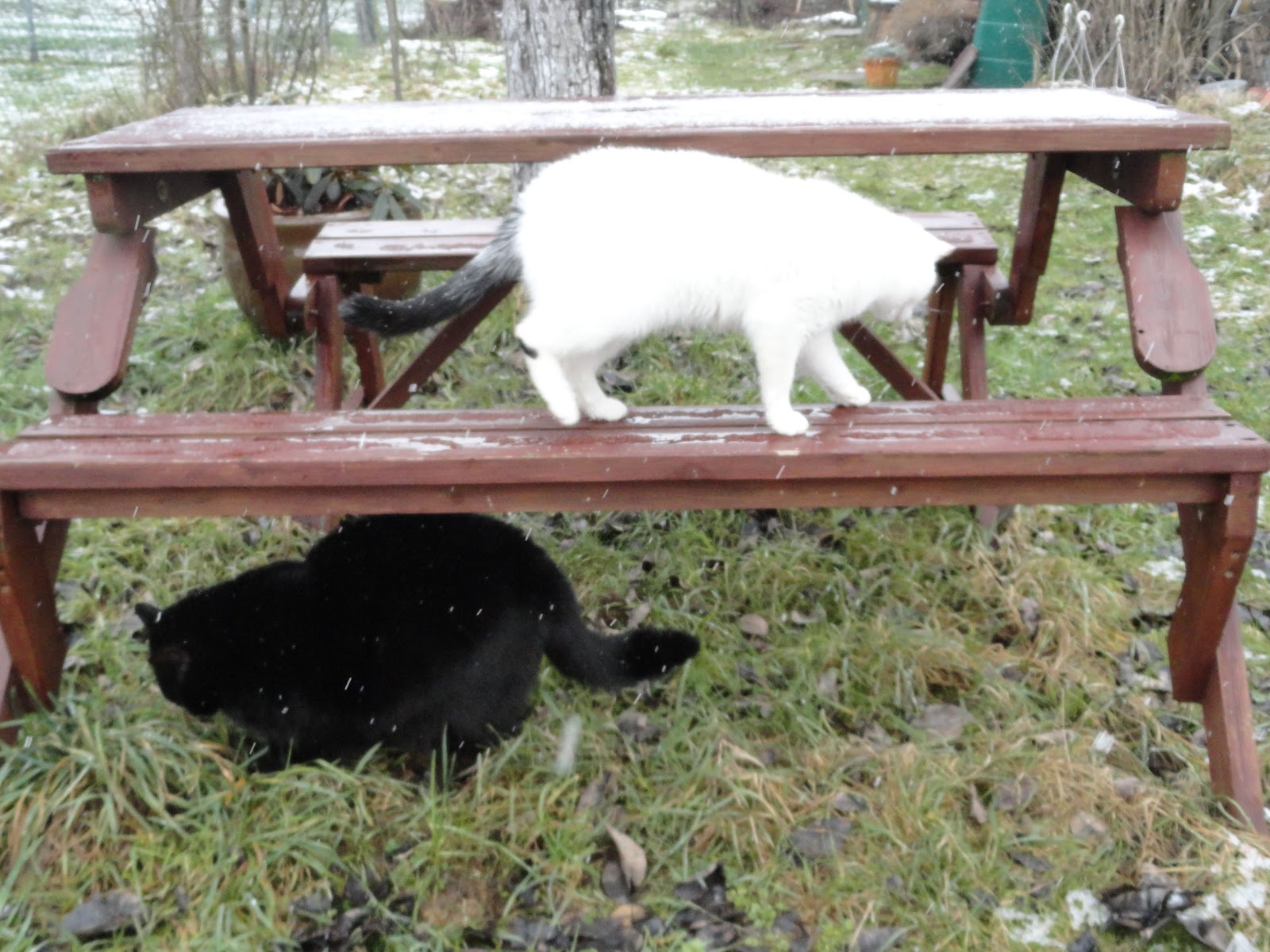 Kreativfreak Aprilwetter Oder Was