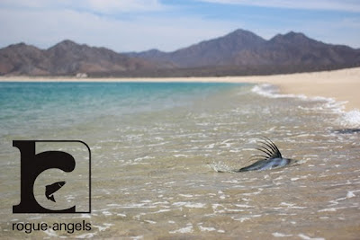 Rogue Angels