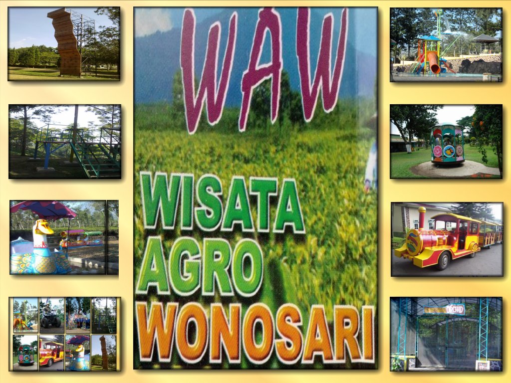 WISATA AGRO KEBUN TEH WONOSARI LAWANG