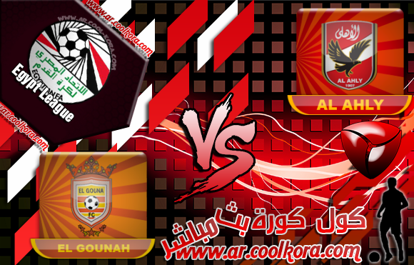 مشاهدة مباراة الأهلي والجونة بث مباشر اليوم 15-2-2014 الدوري المصري Al Ahly vs Al Gounah