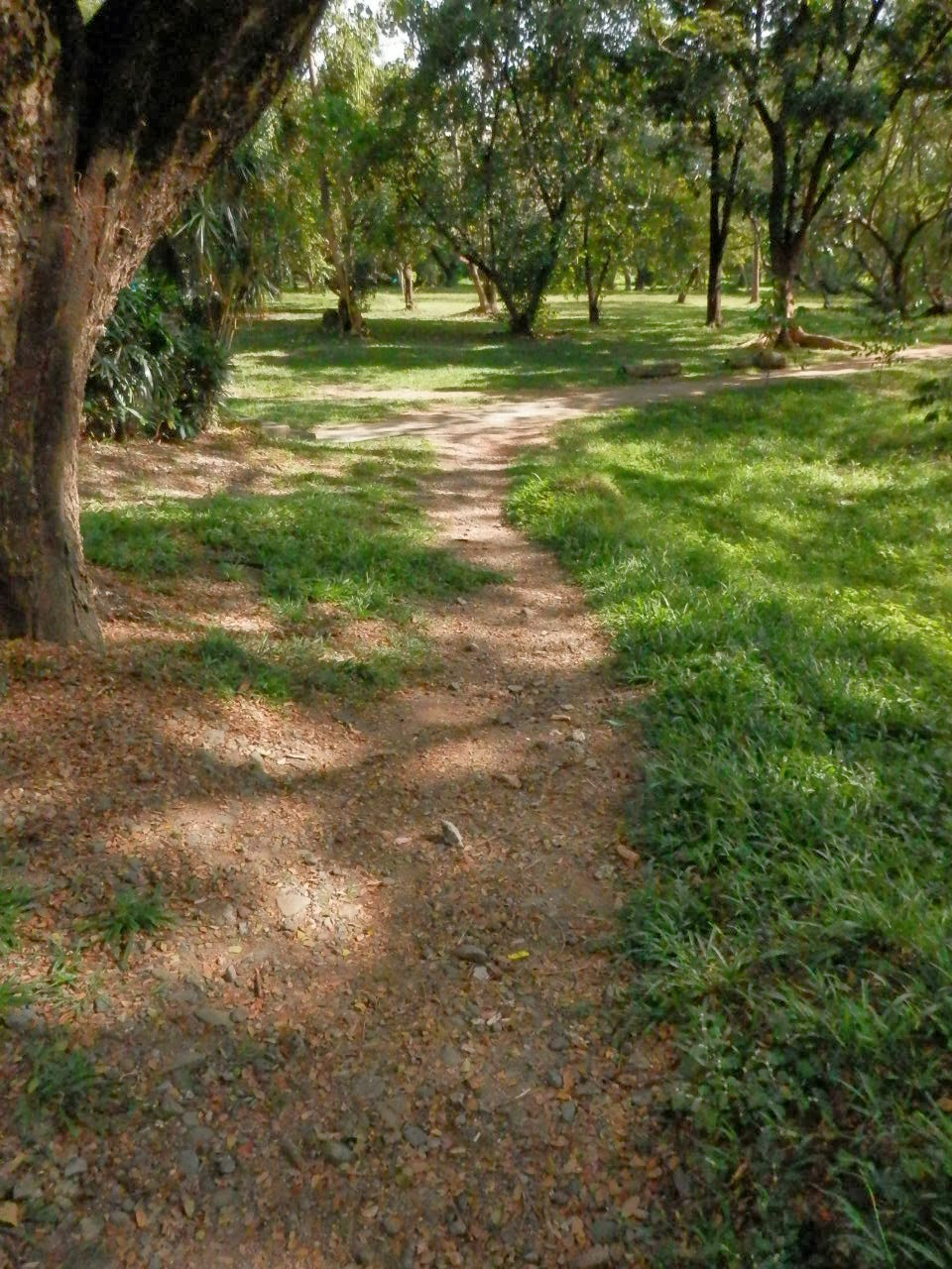 Giallo Antico: Two Paintings