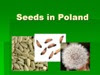 Nasiona w Polsce