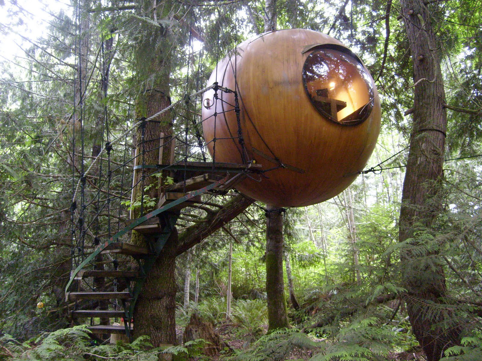 Tree House Resort Vancouver Island Tree House Resort Vancouver Island
