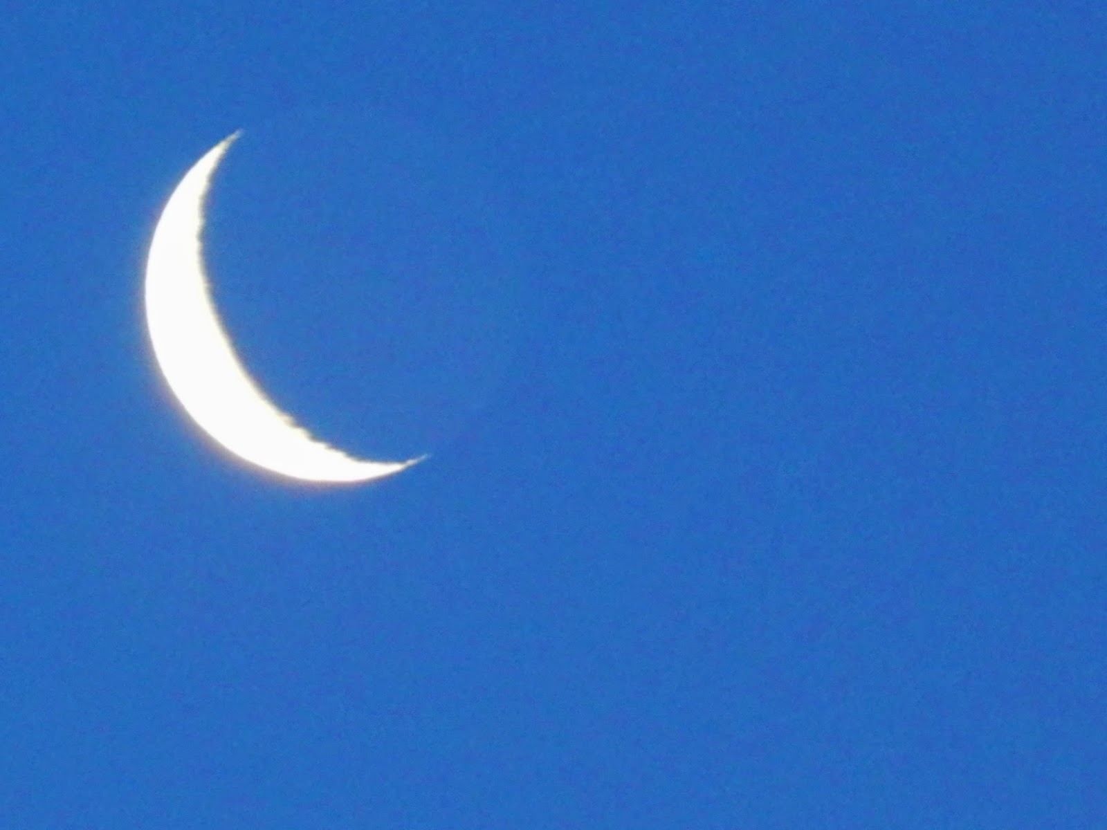 Whole Astrology Moon, Chart Rulers & Stomach Health Issues