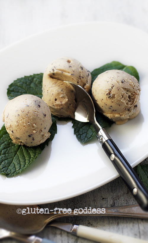 GlutenFree Goddess Recipes Peanut Butter Ice Cream with Coconut Milk