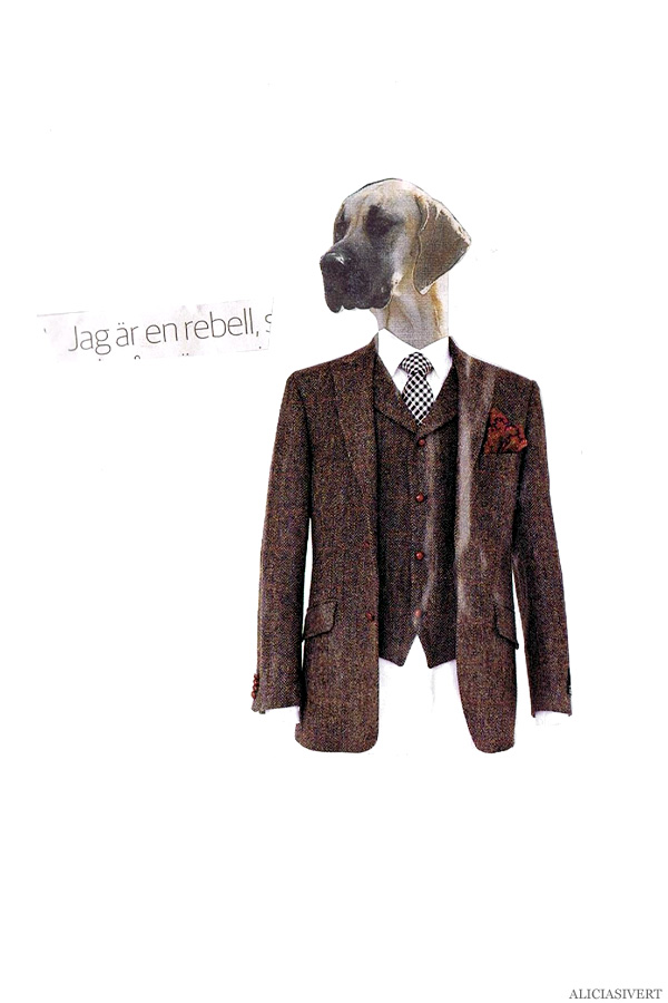 aliciasivert, alicia sivertsson, collage, kollage, assemblage, klippa och klistra, tidningsurklipp, jag är en rebell, hund, tweed, dog, kostym