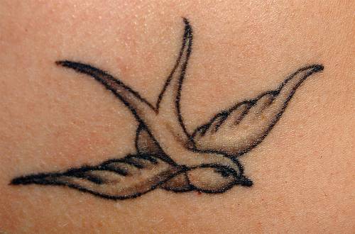 small bird tattoo. small bird tattoo.