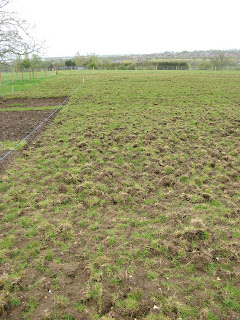 our new rotovated allotment plot