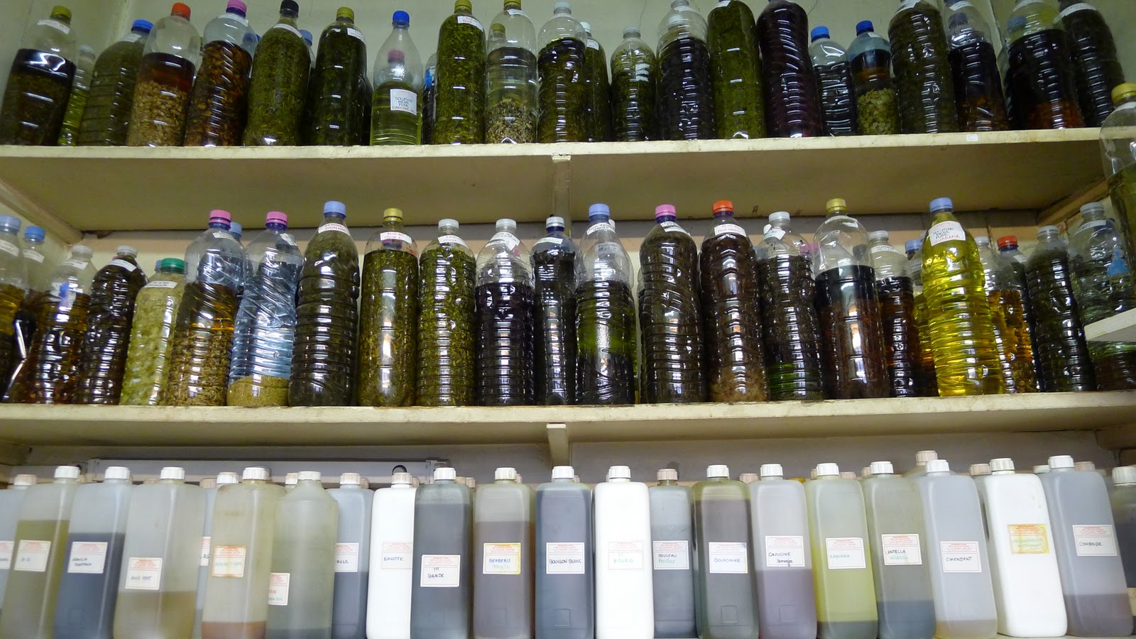 The Herbalist's Shop