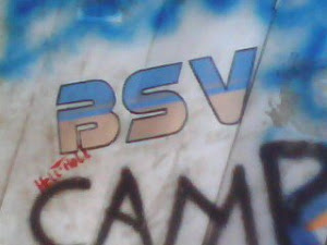 BSV CAMP