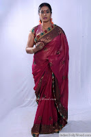Jayavani Latest Saree Photos 3 pic 12
