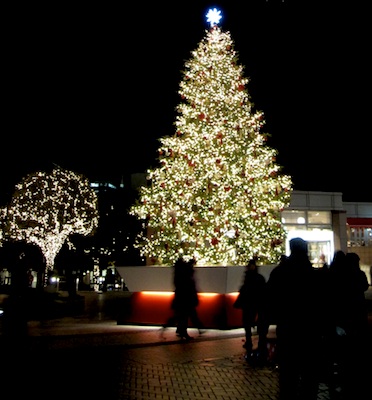 http://2.bp.blogspot.com/-xepPrH9uKIc/TvOd8oaVH7I/AAAAAAAAAGg/padvsOmRlVA/s640/christmas+tree+in+Japan.jpg